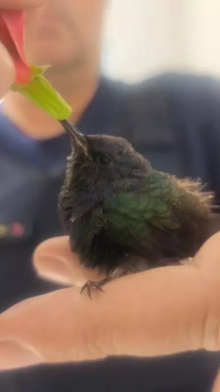 Imagem SlidePrincipal